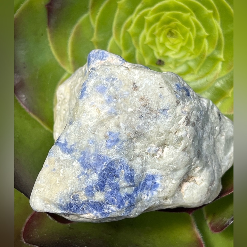 Natural Blue and White Sodalite Raw Crystal